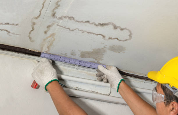 Reliable Structural Drying contractor in Pinckney, MI by Water Damage Irwin